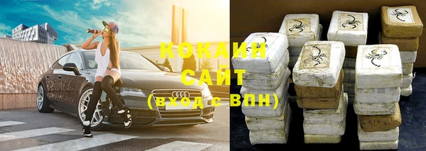 индика Алзамай