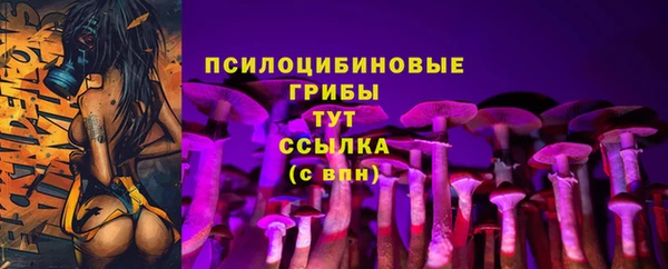 скорость Алексин