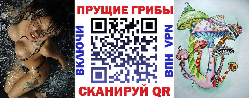 как найти наркотики  Лермонтов  Псилоцибиновые грибы Cubensis 